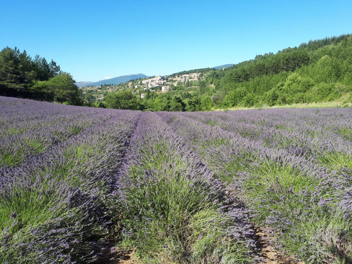 Gite Dentelles Loriol-du-Comtat 외부 사진