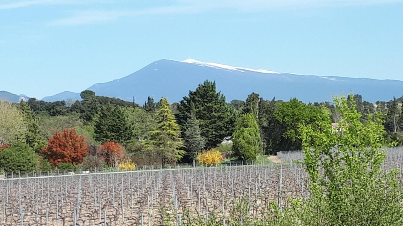 Gite Dentelles Loriol-du-Comtat 외부 사진